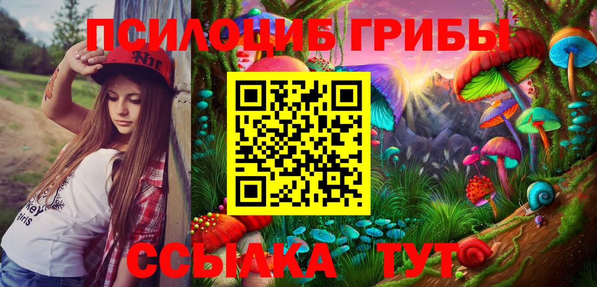 Псилоцибиновые грибы Psilocybe  Вход с VPN  Златоуст  Псилоцибиновые грибы MAGIC MUSHROOMS 